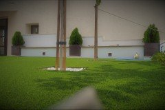 IMG_20190820_131052_1